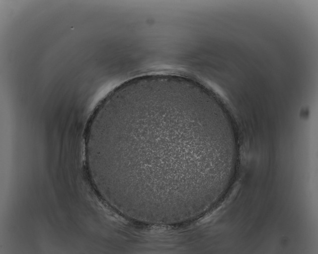 X0000089951267200707061113