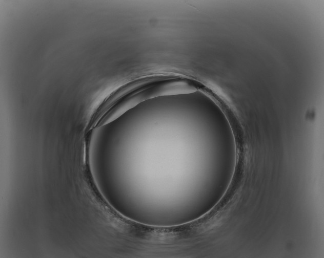 X0000089951269200707061113