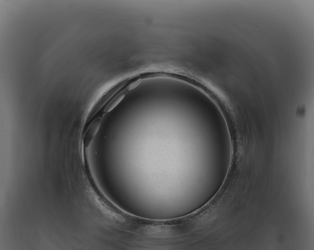 X0000089951272200707061113