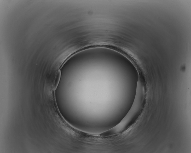 X0000089951273200707061113
