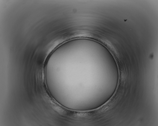 X0000089951274200707061113