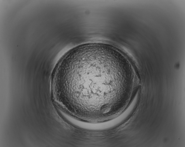 X0000089951275200707061113