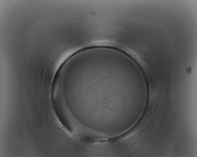 X0000089951277200707061113
