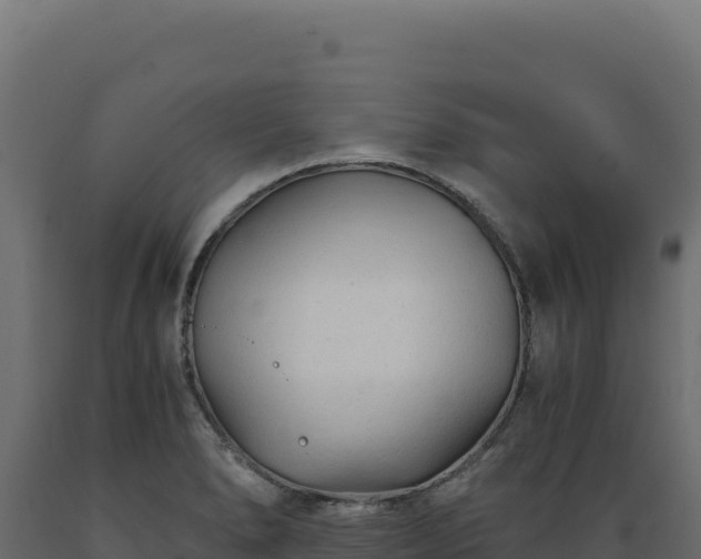 X0000089951278200707061113