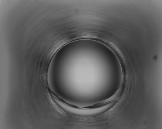 X0000089951281200707061113