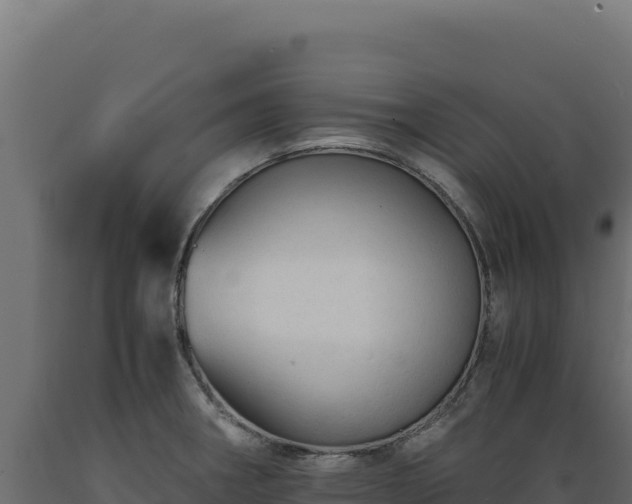 X0000089951282200707061113