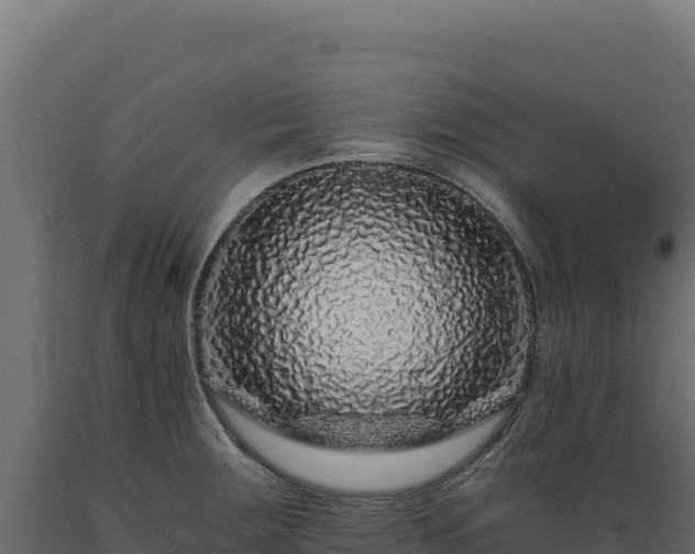X0000089951283200707061113