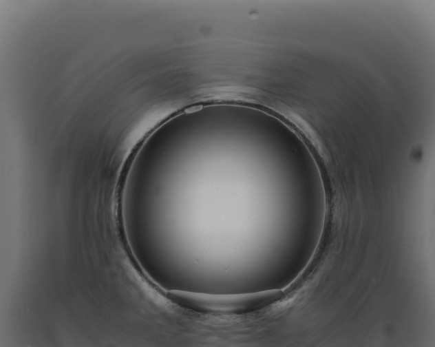 X0000089951285200707061113