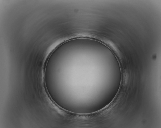X0000089951286200707061113