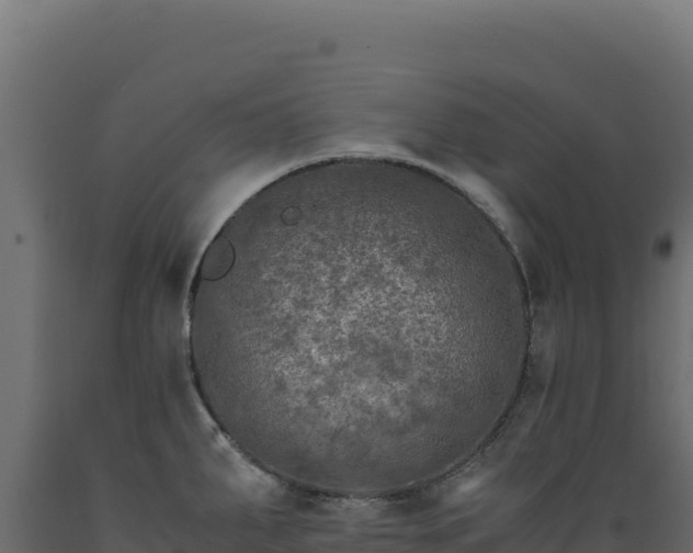 X0000089951287200707061113