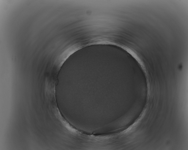 X0000089951289200707061113
