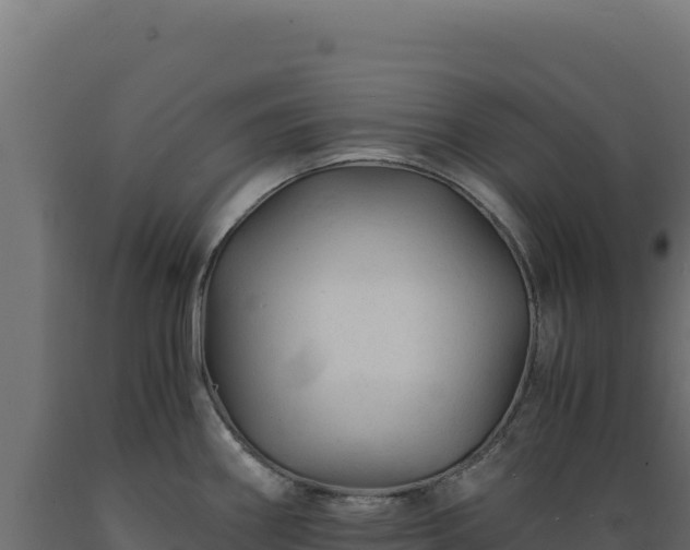 X0000089951290200707061113
