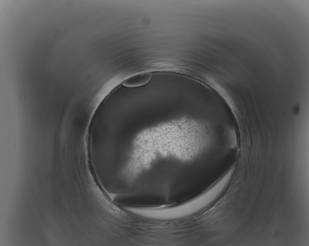X0000089951291200707061113