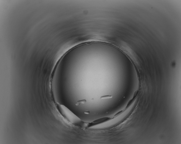 X0000089951292200707061113