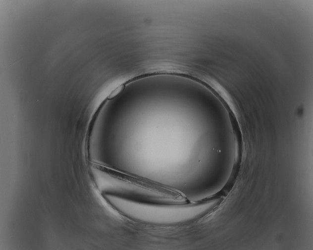 X0000089951293200707061113