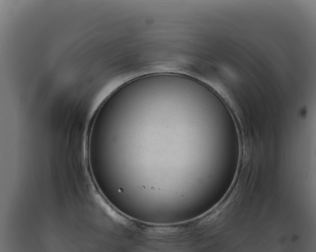 X0000089951294200707061113