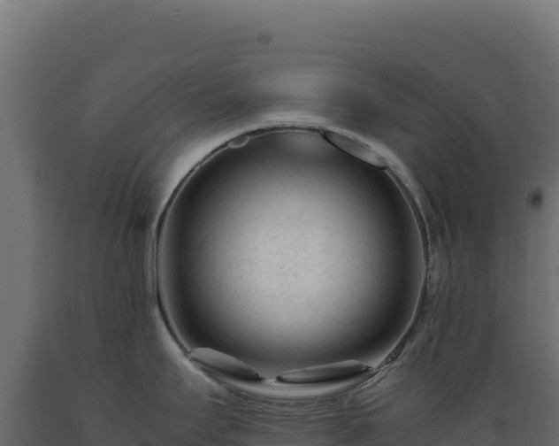 X0000089951295200707061113