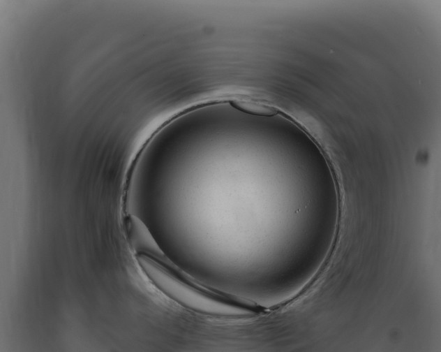 X0000089951296200707061113
