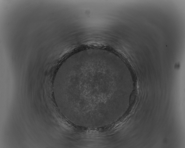 X0000089951297200707061112