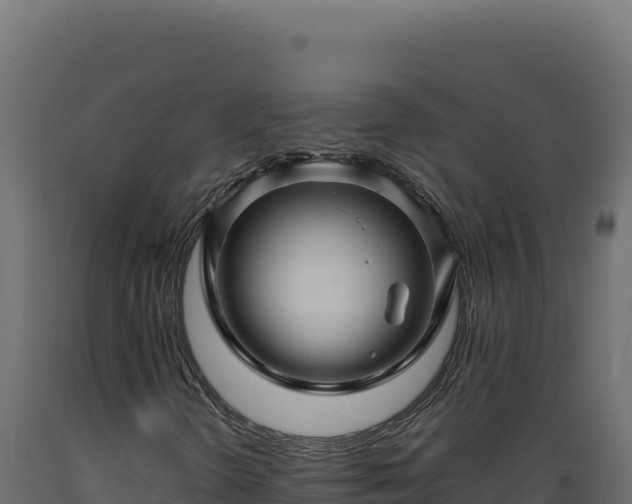 X0000089951298200707061112