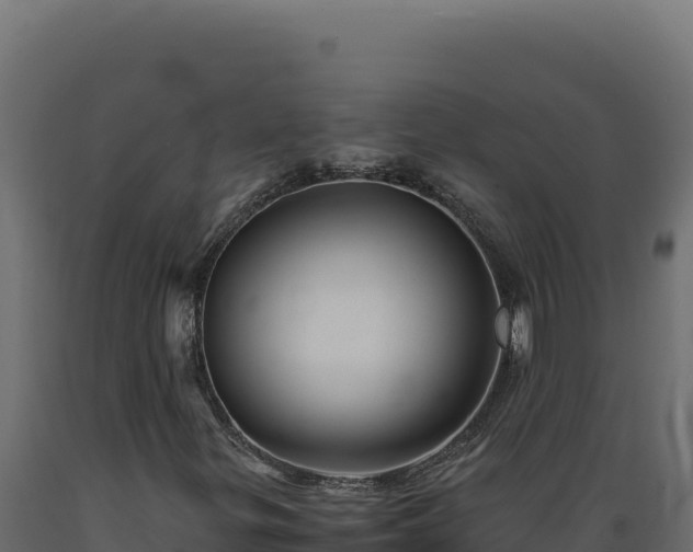 X0000089951299200707061112