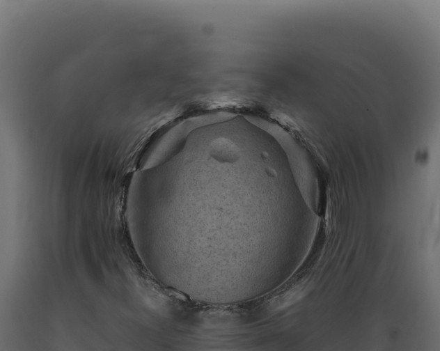 X0000089951300200707061112