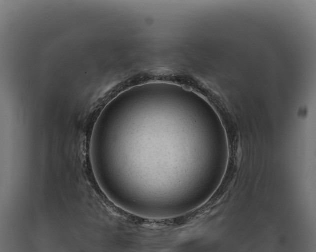 X0000089951301200707061112