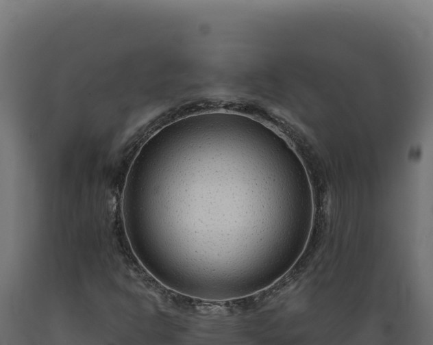 X0000089951302200707061112