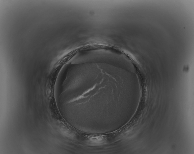 X0000089951303200707061112