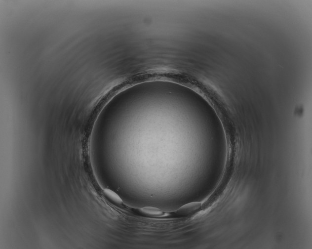 X0000089951305200707061112
