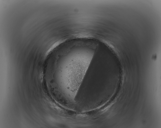 X0000089951306200707061112