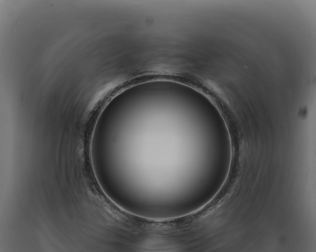X0000089951307200707061112