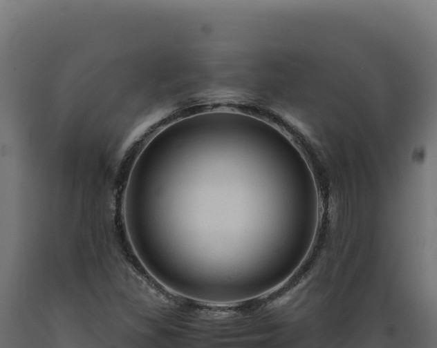 X0000089951309200707061112