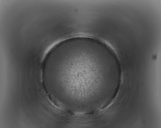X0000089951310200707061112