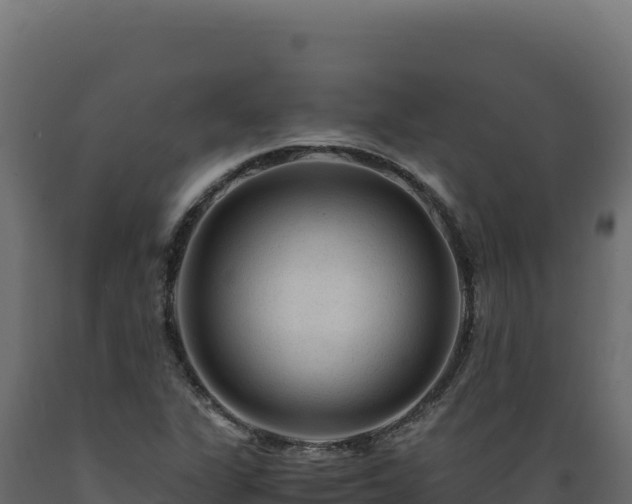 X0000089951311200707061112
