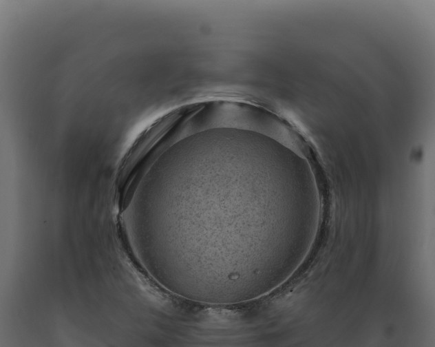 X0000089951312200707061112