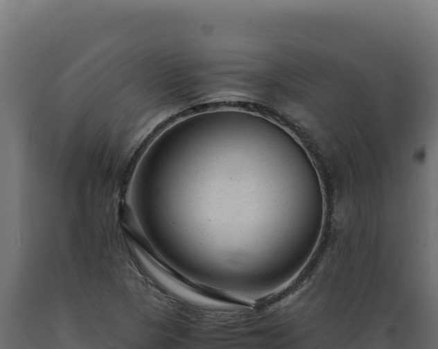 X0000089951313200707061112