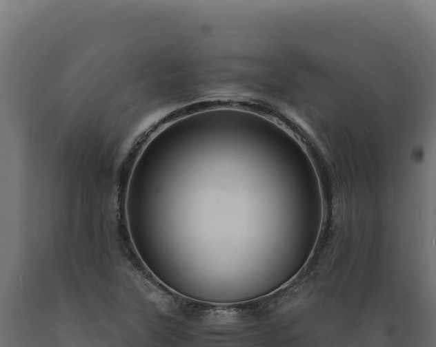 X0000089951315200707061112