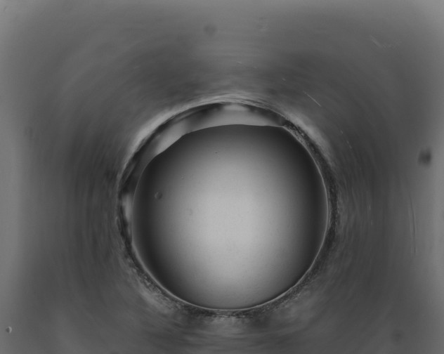 X0000089951316200707061112