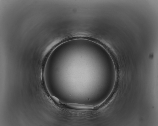 X0000089951317200707061112