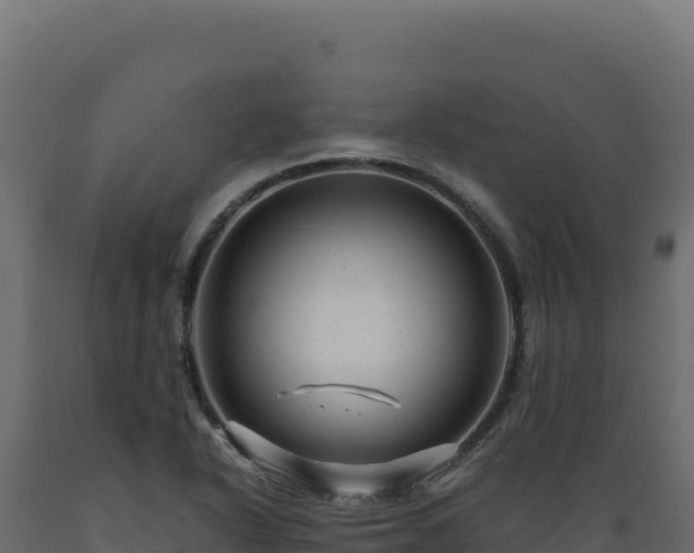X0000089951318200707061112
