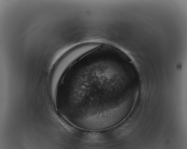 X0000089951319200707061112