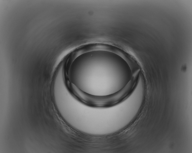 X0000089951320200707061112