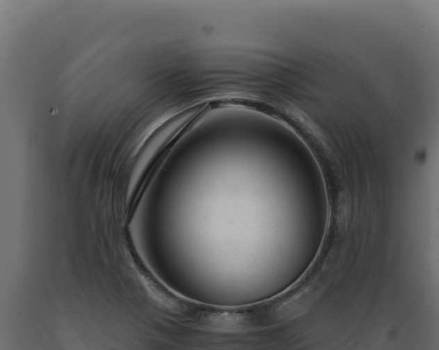X0000089951321200707061112