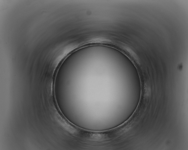 X0000089951322200707061112
