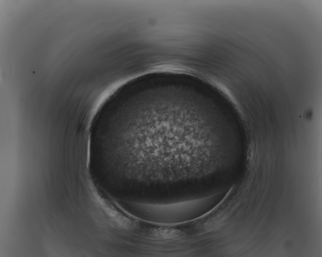 X0000089951323200707061112