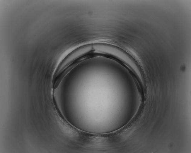 X0000089951324200707061112