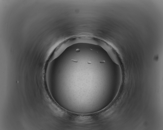 X0000089951325200707061112