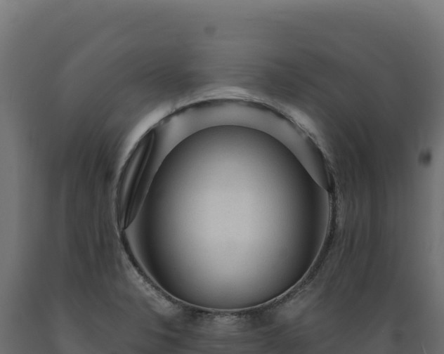 X0000089951326200707061112