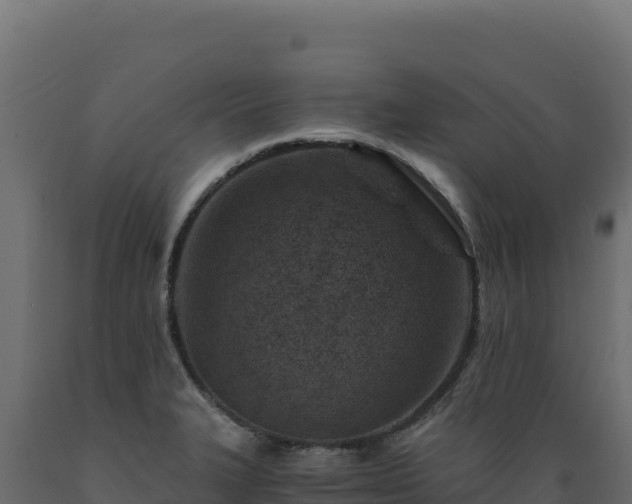 X0000089951327200707061113